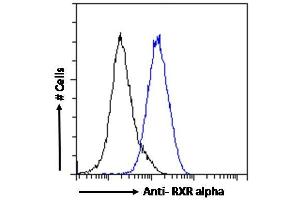 ABIN185295 Flow cytometric analysis of paraformaldehyde fixed MCF7 cells (blue line), permeabilized with 0. (Retinoid X Receptor alpha anticorps  (AA 14-28))