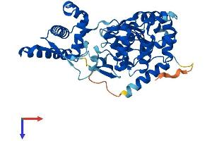 AlphaFold protein structure predicition of Human Recombinant SPO11 Protein, UniprotID Q9Y5K1