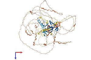 AlphaFold protein structure predicition of Human Recombinant BAHD1 Protein, UniprotID Q8TBE0