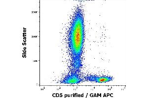 Flow cytometry surface staining pattern of human peripheral whole blood stained using anti-human CD5 (MEM-32) purified antibody (concentration in sample 3 μg/mL, GAM APC). (CD5 anticorps)