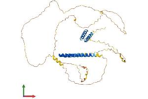 AlphaFold protein structure predicition of Human Recombinant PPHLN1 Protein, UniprotID Q8NEY8