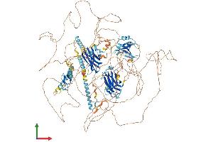 AlphaFold protein structure predicition of Mouse Recombinant Rims2 Protein, UniprotID Q9EQZ7