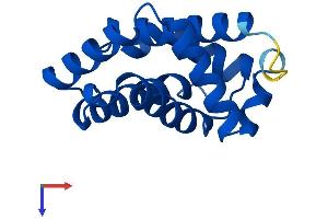 AlphaFold protein structure predicition of Human Recombinant HBM Protein, UniprotID Q6B0K9