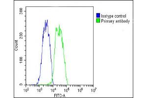 Overlay histogram showing HepG2 cells stained with (ABIN650694 and ABIN2839117)(green line). (VEGFC anticorps)