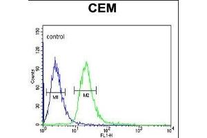 MTNR1A Antibody (Center) (ABIN653231 and ABIN2842764) flow cytometric analysis of CEM cells (right histogram) compared to a negative control cell (left histogram).