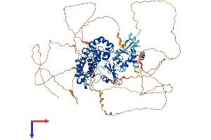 AlphaFold protein structure predicition of Human Recombinant CBL Protein, UniprotID P22681