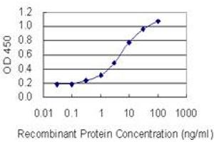 Detection limit for recombinant GST tagged MORF4L1 is 0.