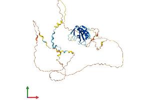 AlphaFold protein structure predicition of Human Recombinant CLNK Protein, UniprotID Q7Z7G1