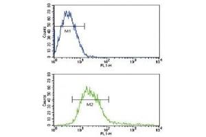 Flow cytometric analysis of CEM cells using ADAM17 antibody (green) compared to a negative control (blue).
