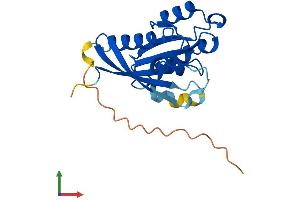 AlphaFold protein structure predicition of Human Recombinant RAB1B Protein, UniprotID Q9H0U4