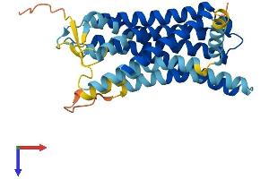 AlphaFold protein structure predicition of Human Recombinant OR13C8 Protein, UniprotID Q8NGS7