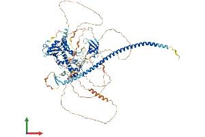 AlphaFold protein structure predicition of Mouse Recombinant Ccar2 Protein, UniprotID Q8VDP4