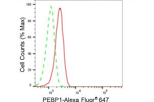Flow cytometric analysis of PEBP1 expression in HeLa cells using PEBP1 antibody (ABIN7799790), 1:2,000). (Recombinant PEBP1 anticorps)