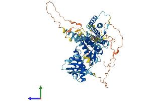 AlphaFold protein structure predicition of Mouse Recombinant Rhpn1 Protein, UniprotID Q61085