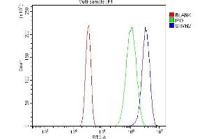 Flow Cytometry analysis of U20S cells using anti-SCG10/STMN2 antibody (ABIN7600734). (STMN2 anticorps  (AA 23-170))