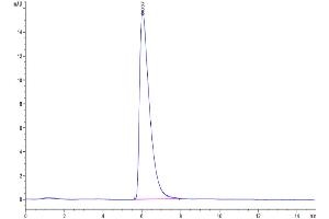 The purity of Cynomolgus GPC3 is greater than 95 % as determined by SEC-HPLC.