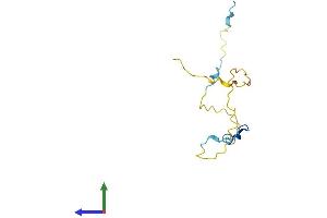 AlphaFold protein structure predicition of Human Recombinant PCLAF Protein, UniprotID Q15004