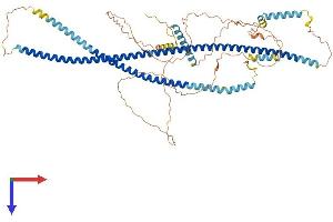 AlphaFold protein structure predicition of Human Recombinant HAP1 Protein, UniprotID P54257
