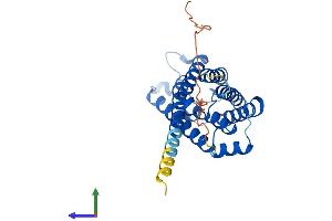 AlphaFold protein structure predicition of Mouse Recombinant Aqp6 Protein, UniprotID Q8C4A0