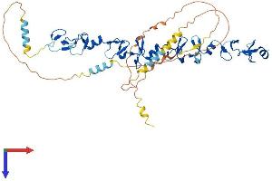 AlphaFold protein structure predicition of Mouse Recombinant Tgfb1i1 Protein, UniprotID Q62219