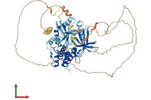AlphaFold protein structure predicition of Mouse Recombinant Map3k3 Protein, UniprotID Q61084