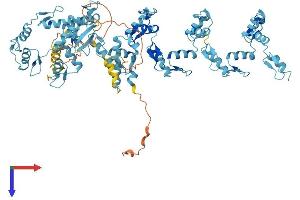 AlphaFold protein structure predicition of Human Recombinant ZNF585B Protein, UniprotID Q52M93