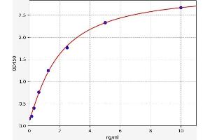 Ataxia Telangiectasia Mutated (ATM) ELISA Kit