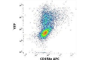 Flow cytometry surface staining pattern of KIR3DL3 (CD158z) transfected HEK-293 cells co-transfected with YFP coding plasmid using anti-human CD158z (CH21) APC antibody (concentration in sample 10 μg/mL).