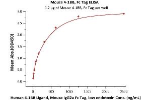 Immobilized Mouse 4-1BB, Fc Tag (ABIN2870706,ABIN2870707) at 2 μg/mL (100 μL/well) can bind Human 4-1BB Ligand, Mouse IgG2a Fc Tag, low endotoxin (ABIN5954978,ABIN6253610) with a linear range of 20-312 ng/mL (QC tested).