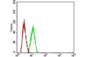 Flow cytometric analysis of HepG2 cells using SAA1 mouse mAb (green) and negative control (red).