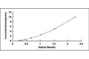 CD33 (CD33) ELISA Kit