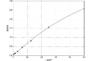 Laminin, beta 3 (LAMB3) ELISA Kit