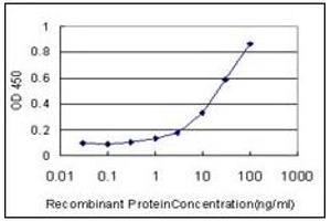 ELISA image for anti-Nuclear Receptor Subfamily 1, Group D, Member 1 (NR1D1) (AA 1-615) antibody (ABIN614695)