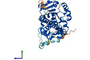 AlphaFold protein structure predicition of Mouse Recombinant Noxred1 Protein, UniprotID Q9D3S5