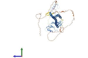 AlphaFold protein structure predicition of Mouse Recombinant Trim8 Protein, UniprotID Q99PJ2