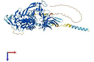 AlphaFold protein structure predicition of Mouse Recombinant Lmln Protein, UniprotID Q8BMN4