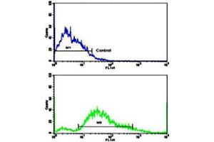 Flow cytometric analysis of SK-BR-3 cells using PDGFRB polyclonal antibody (bottom histogram) compared to a negative control cell (top histogram). (PDGFRB anticorps  (N-Term))
