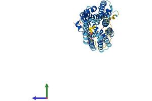 AlphaFold protein structure predicition of Mouse Recombinant Slc17a5 Protein, UniprotID Q8BN82