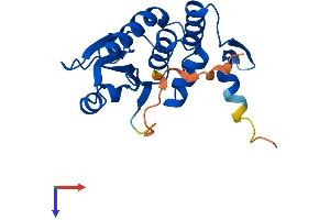 AlphaFold protein structure predicition of Mouse Recombinant Dusp14 Protein, UniprotID Q9JLY7