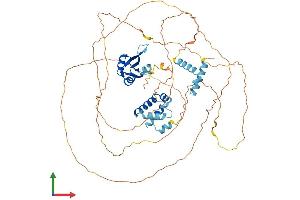 AlphaFold protein structure predicition of Mouse Recombinant Cstf2t Protein, UniprotID Q8C7E9