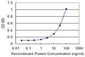 Detection limit for recombinant GST tagged LONRF1 is 1 ng/ml as a capture antibody. (LONRF1 anticorps  (AA 1-110))