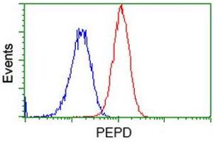 Flow cytometric Analysis of Hela cells, using anti-PEPD antibody (ABIN2453446), (Red), compared to a nonspecific negative control antibody (TA50011), (Blue).