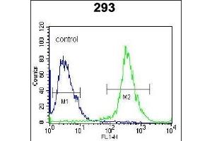 Rat MKP3 Antibody (ABIN1882185 and ABIN2842276) flow cytometric analysis of 293 cells (right histogram) compared to a negative control cell (left histogram).
