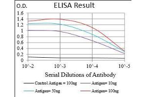 Black line: Control Antigen (100 ng), Purple line: Antigen(10 ng), Blue line: Antigen (50 ng), Red line: Antigen (100 ng),