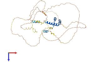 AlphaFold protein structure predicition of Mouse Recombinant Evx2 Protein, UniprotID P49749