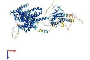 AlphaFold protein structure predicition of Human Recombinant SLC26A2 Protein, UniprotID P50443