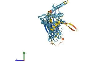 AlphaFold protein structure predicition of Human Recombinant CLPTM1L Protein, UniprotID Q96KA5