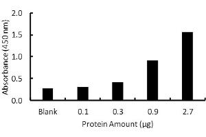 Transcription factor assay of PPAR-delta from purified recombinate PPAR-delta protein with PPAR-delta TF Activity Assay Kit. (PPARD Kit ELISA)