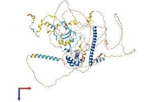 AlphaFold protein structure predicition of Human Recombinant EPC1 Protein, UniprotID Q9H2F5