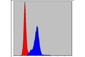 Flow cytometric analysis of Hela cells using CRK mouse mAb (blue) and negative control (red). (Crk anticorps)